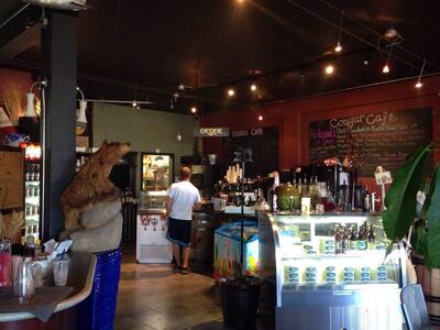 Cougar Liquor