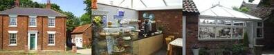Holly Tea Room