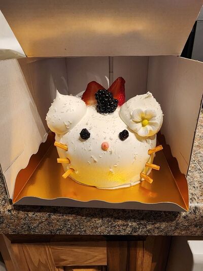 Bon Bon Bakery
