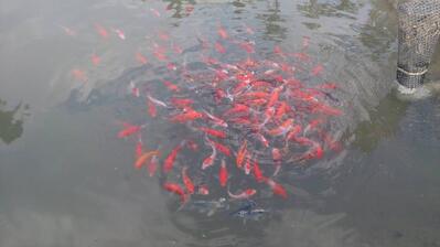 海世界親子餐廳