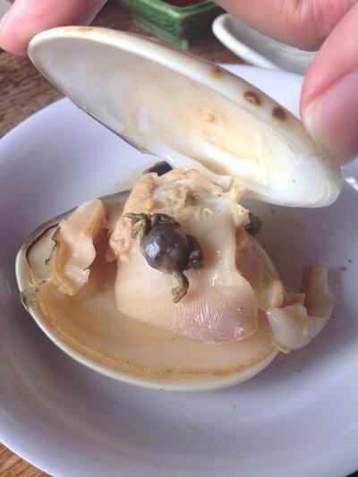 綱元