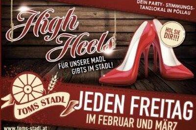 Toms Stadl