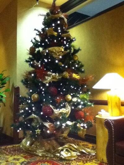 Seasons Buffet @ The Lodge Casino (Must be 21+)