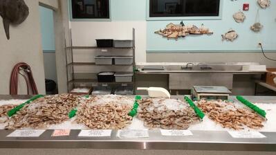 Quality Poultry And Seafood