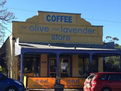 The Olive Tree
