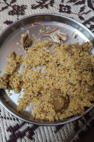 Sharief Bhai Biryani Electronic City