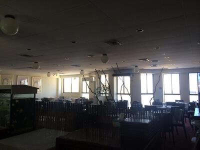 New Harmony Chinese Restaurant