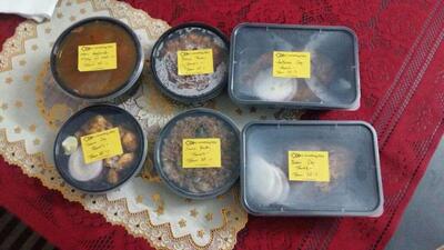 Something Fishy photo