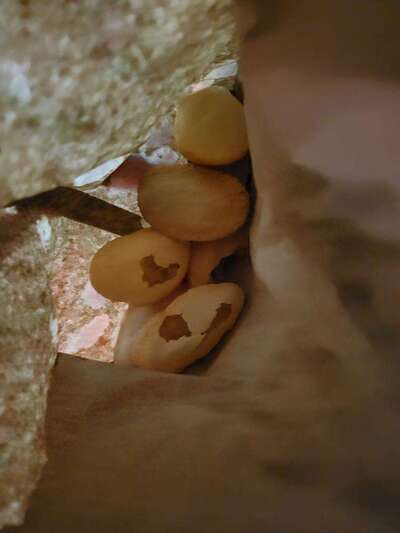 Guru Nanak Sweets & Restaurant