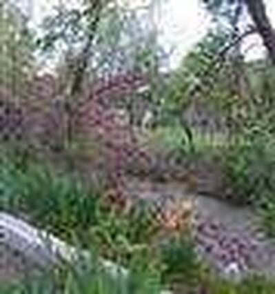 Riverside Hot Springs Inn