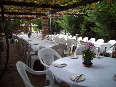 McDougall Wines