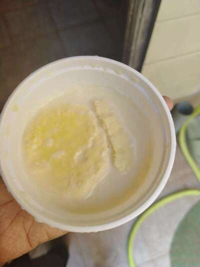 Gauhar Bakery & Sweet Mart